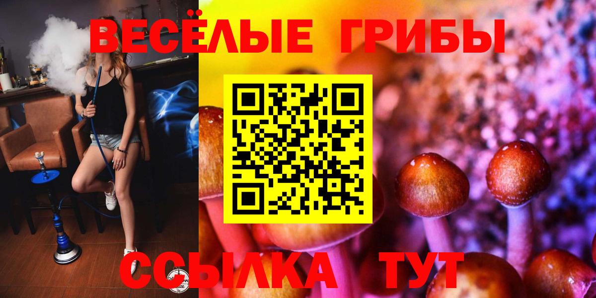 Галлюциногенные грибы Psilocybine cubensis Алексеевка